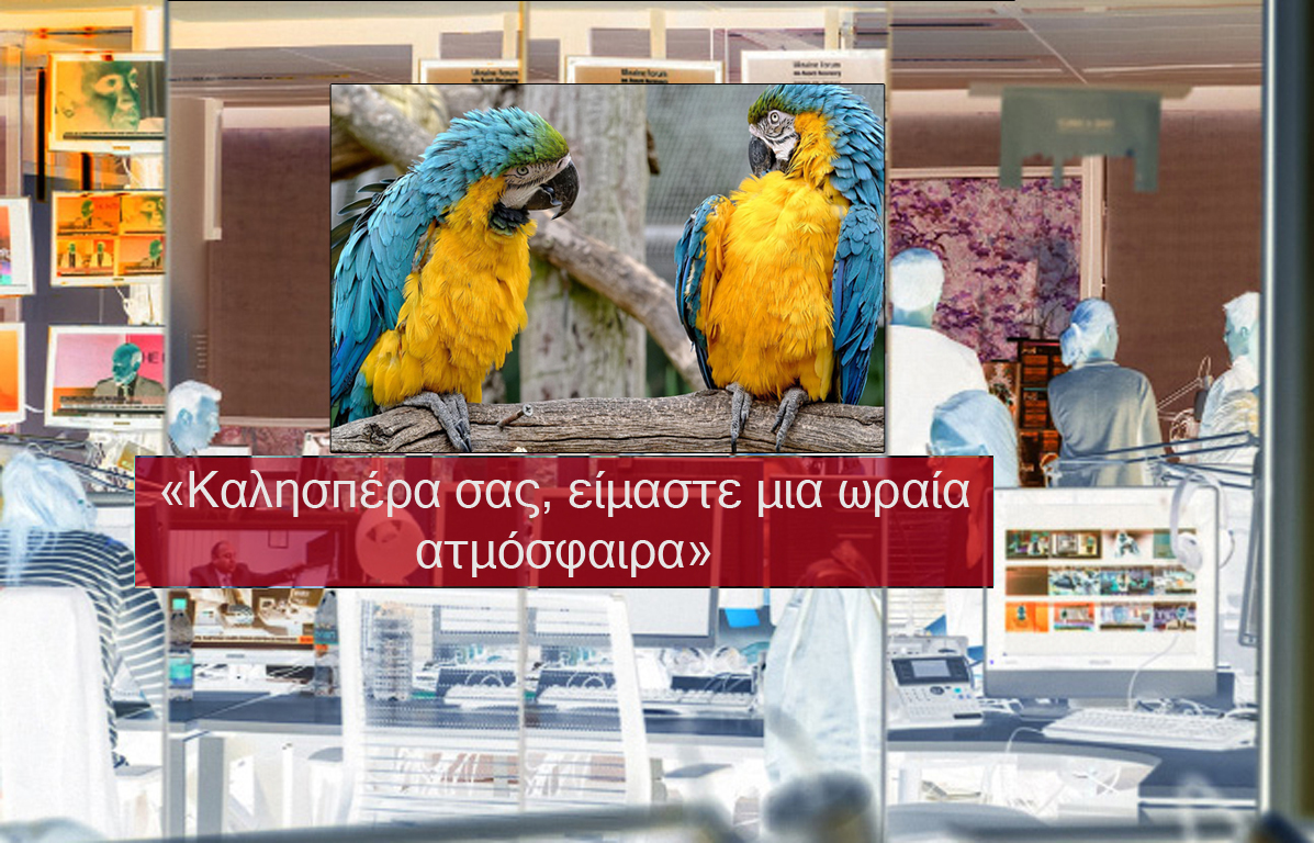 «Ο καλός συνάδελφος»: Μια ιστορία αγάπης στα δελτία των ειδήσεων